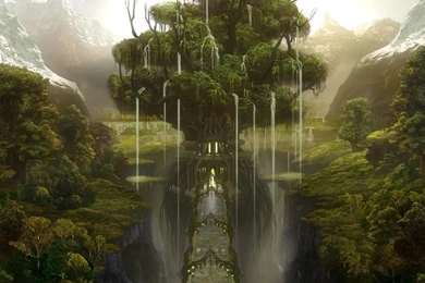 FANTASY FOREST WALLPAPER   (