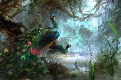 Peacocks In The Forest Wallpapers   Fantasy Wallpapers