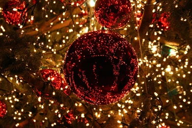 Download Christmas Lights Wallpapers Free