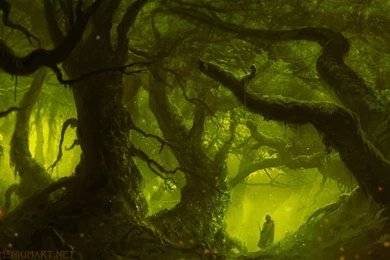 Alderian's Wood Computer Wallpapers, Desktop Backgrounds ...