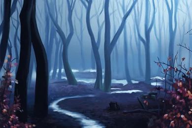 Forest Computer Wallpapers, Desktop Backgrounds