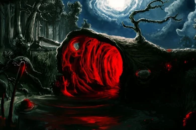 Forest Computer Wallpapers, Desktop Backgrounds