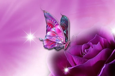 Purple Butterfly Wallpapers Desktop 7002   HD Wallpapers Site