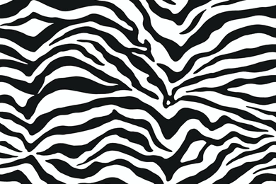 Zebra Wallpapers : Wallpapers   Walmart.com