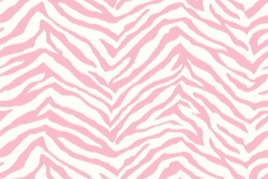 Black Zebra Zen Wallpapers   Interior Home Decor