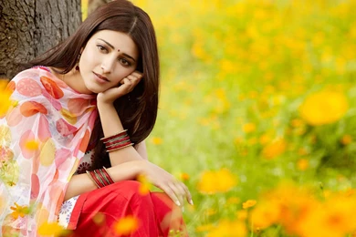 Shortday.in shruti haasan wallpaper.jpg