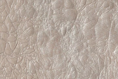 Accents For Your Wall Paper