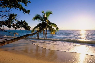 Reunion Island Wallpaper 12 45247 for Desktop Backgrounds ...