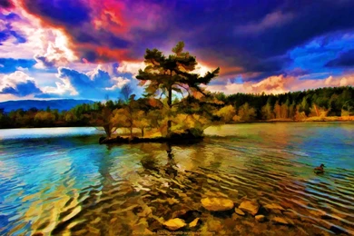 Tree On Island In Lake Artistic Backgrounds   1680x1050 Pixels
