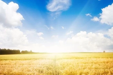 Aliexpress.com : Buy Vinyl 6.5x10ft Nice Outdoor Aautumn Scenic ...