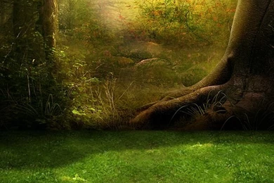 Scenic Backgrounds Reviews   Online Shopping Scenic Backgrounds ...