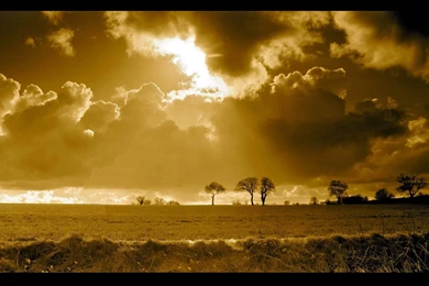 484 Scenic HD Wallpapers