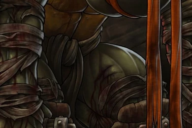 Michelangelo iPhone 5 Wallpapers (640x1136)