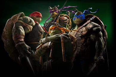 Teenage Mutant Ninja Turtles Wallpapers 3.jpg
