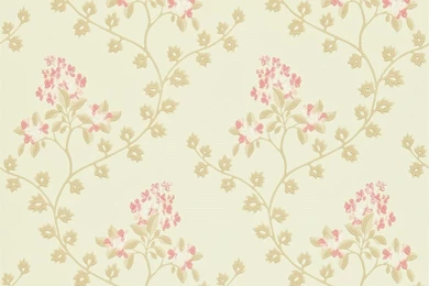 Zoffany Fleurs Rococo Wallpapers