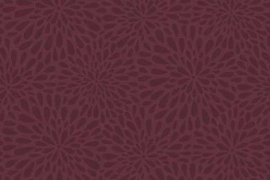Calendula Maroon Modern Floral Wallpapers Bolt   Contemporary ...
