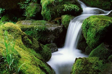 Creek Desktop Wallpaper, Creek Background, New Wallpapers