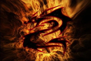 Dragon Tribal Wallpapers By ThiagoSNP On DeviantArt