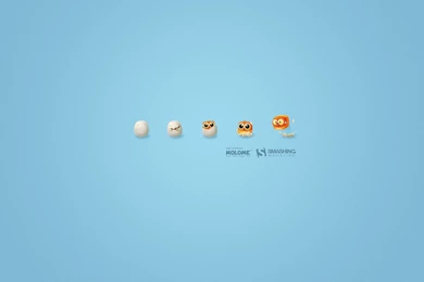 Smashing magazine birds eggs growth 2560x1440 wallpaper.jpg