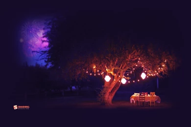 Landscapes Night Summer (season) Tables Lanterns Smashing Magazine ...