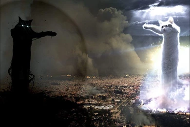 Epic Desktop Car Memes