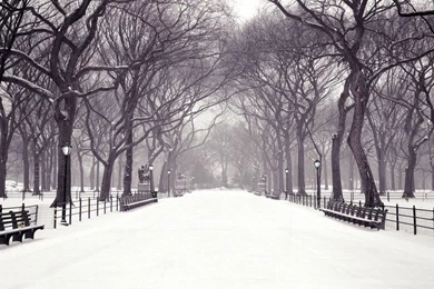 HecallsmeStatuary Walk, Central Park, New York City, New York ...