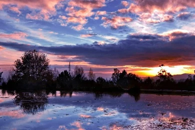 Sunset iPhone 5s Wallpapers