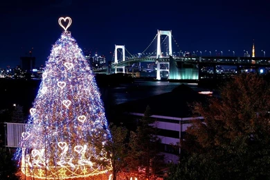 50 Christmas And New Year 2010 HD Wallpapers Downloads ...