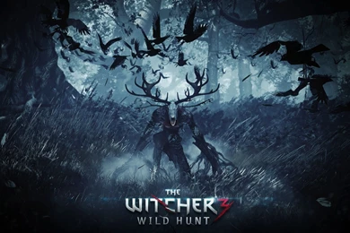 305 The Witcher 3: Wild Hunt HD Wallpapers