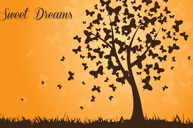 Good Night Sweet Dreams Hd Wallpapers   Wallpaperss HD
