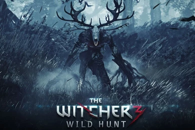 2560x1080 21:9 TV The Witcher 3 Wild Hunt Wallpapers HD, Desktop ...