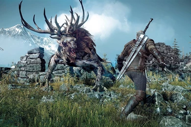 The Witcher 3: Wild Hunt Computer Wallpapers, Desktop Backgrounds ...