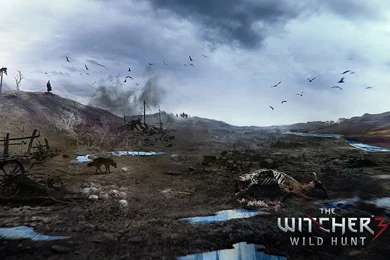 The Witcher 3: Wild Hunt Computer Wallpapers, Desktop Backgrounds ...