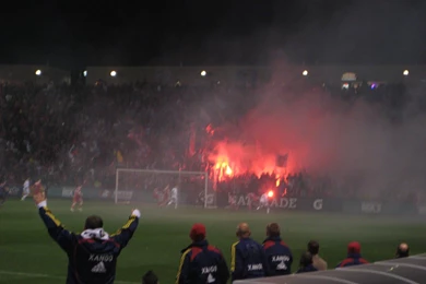 ForesterSoccer: Soccer, Soccer Everywhere