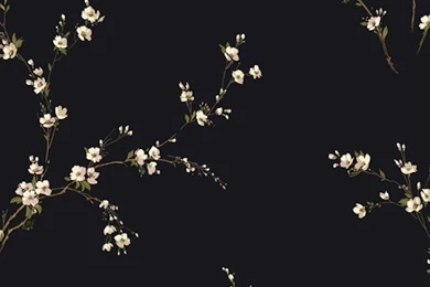 GentleManor GG4716 2.jpg