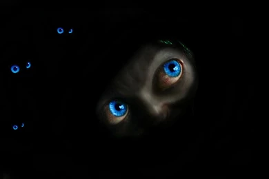 Happy Halloween My Friends >> HD Wallpaper, Get It Now!