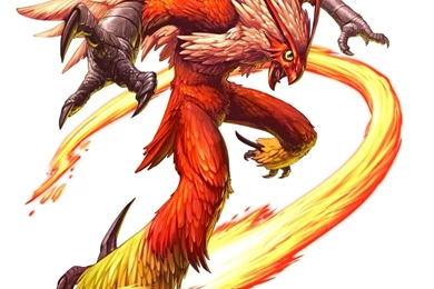 Blaziken Pokemon Wallpapers