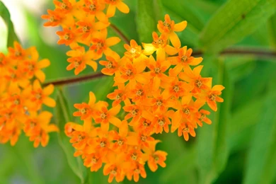 Amazing Views, Cool Nature Photos, Nature Wallpapers For Samsung ...