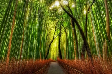 Galaxy Tab Wallpapers HD Nature Beautiful, Stunning Wallpapers