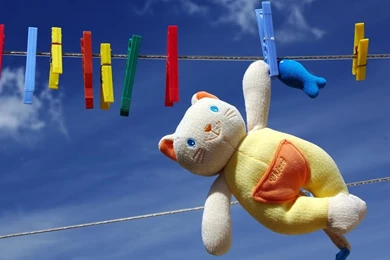 Desktop Wallpapers · Gallery · HD Notebook · My Gentle Friend Hd ...