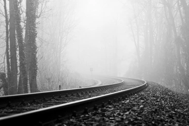 Trees Forests Mist Grayscale Railroad Tracks Wallpapers