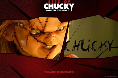 Seed Of Chucky   Chucky Wallpapers (96734)   Fanpop
