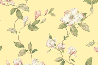Ashford House Blooms Magnolia Wallpapers Wallpapers & Border ...