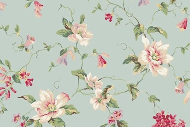 YV9021 Ashford House Blooms Magnolia Wallpapers By York