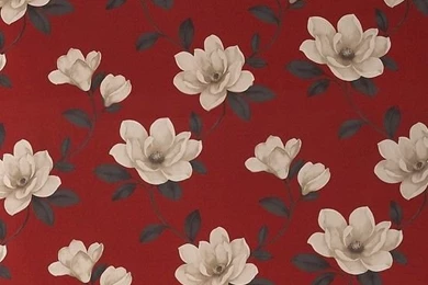 Magnolia Wallpapers From B&Q