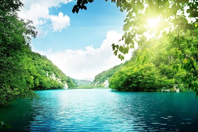 Silent Water Wallpaper Forest Image Stream Picture.jpg