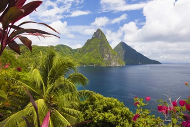 Download Wallpapers 3840x2160 Caribbean, Ocean, Palm Trees, Peaks ...