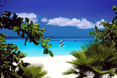 Nature Wallpapers   Page 16