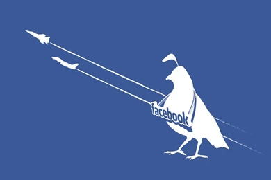 BLoRA CommuNity: Facebook Twitter Backgrounds