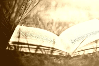 Download Peaceful Sunset Wallpapers Phone